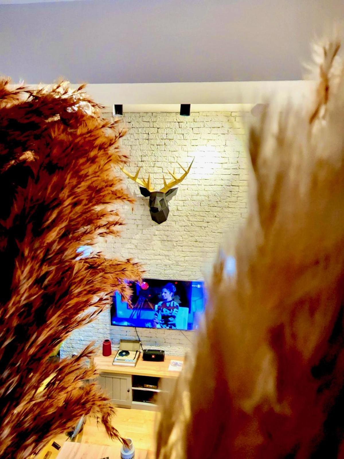 Lifestyle Gallery Apartment Skopje Zewnętrze zdjęcie