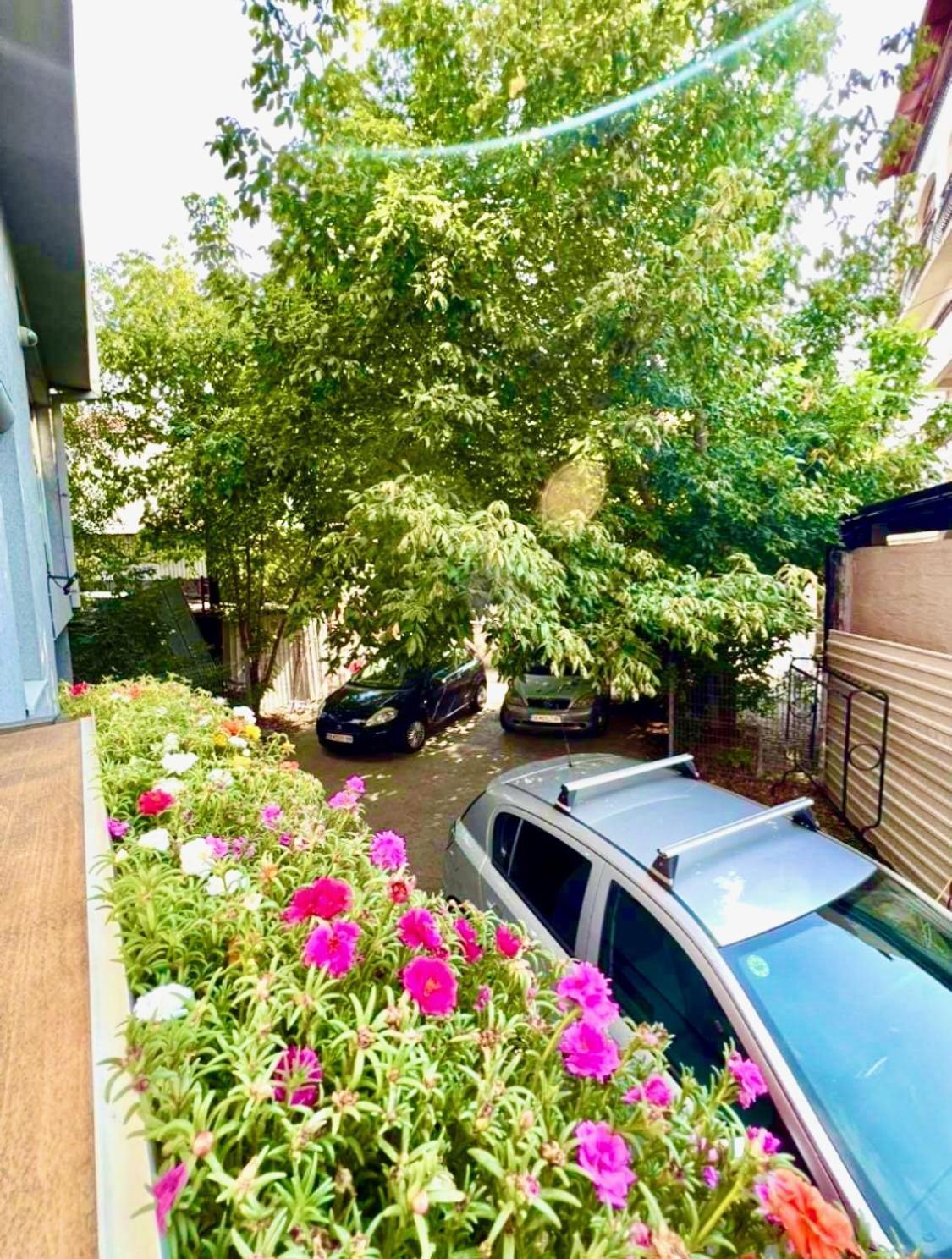 Lifestyle Gallery Apartment Skopje Zewnętrze zdjęcie